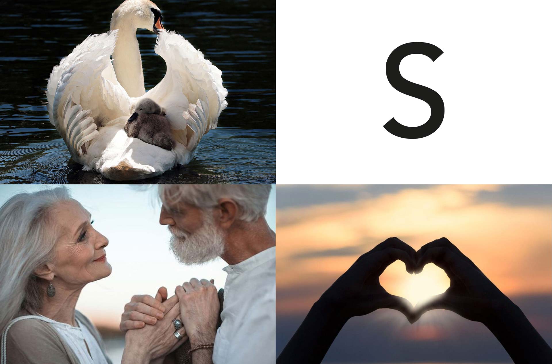 moodboard Saamborgh nieuwe naam